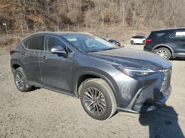 LEXUS NX 350 2023