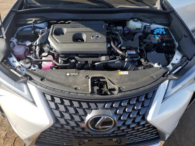 LEXUS UX 300H BASE 2025