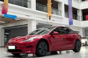 TESLA MODEL 3 2021