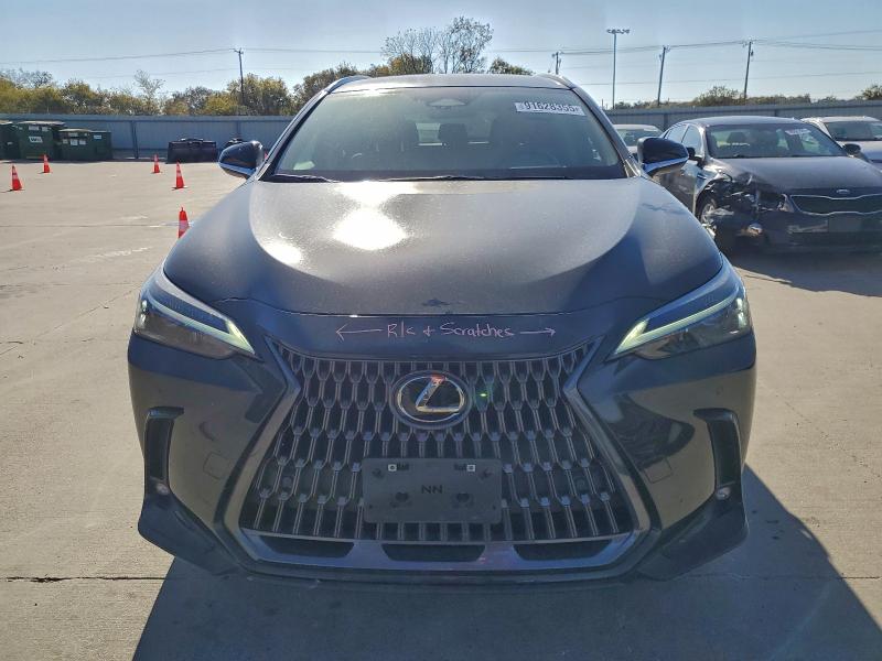 LEXUS NX 250 BASE 2024