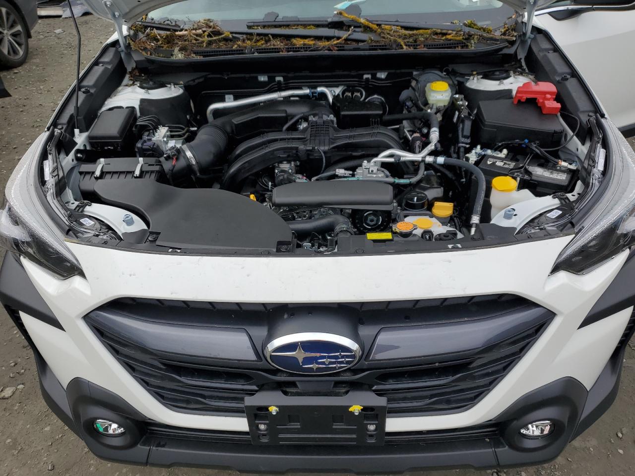 SUBARU OUTBACK PREMIUM 2025