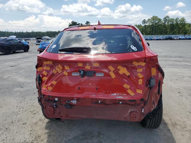 LEXUS NX 350H BASE 2024