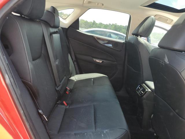 LEXUS NX 350H BASE 2024