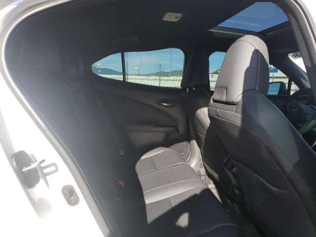 LEXUS UX 300H BASE 2025