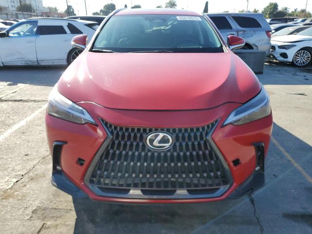 LEXUS NX 250 PREMIUM 2025
