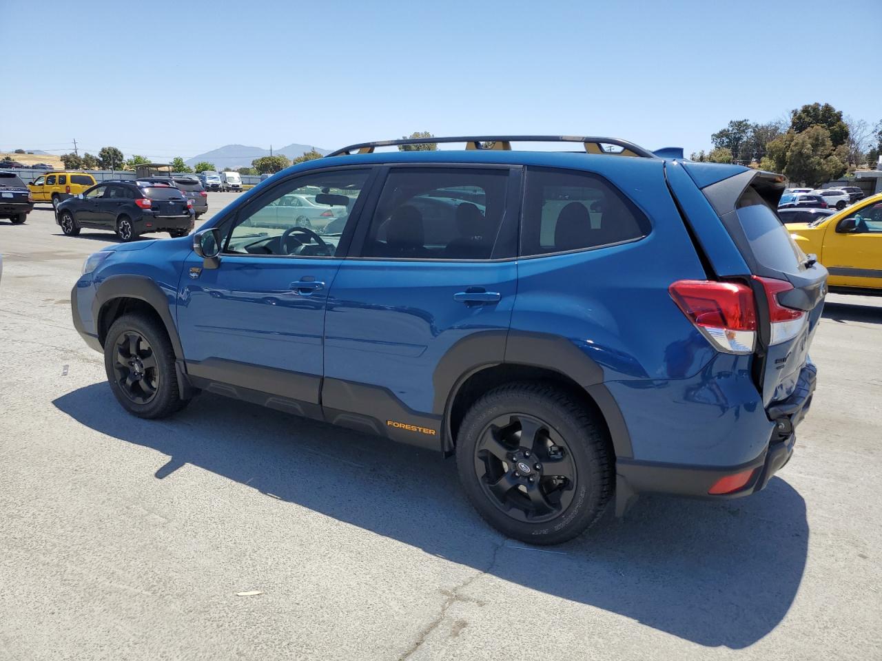 SUBARU FORESTER WILDERNESS 2023
