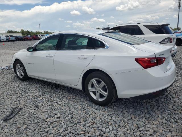 CHEVROLET MALIBU LS 2024