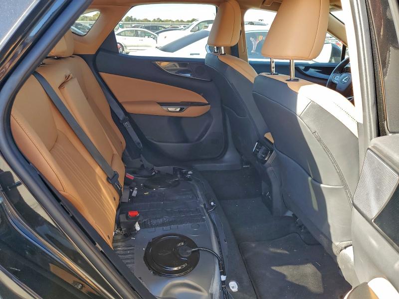 LEXUS NX 250 BASE 2024