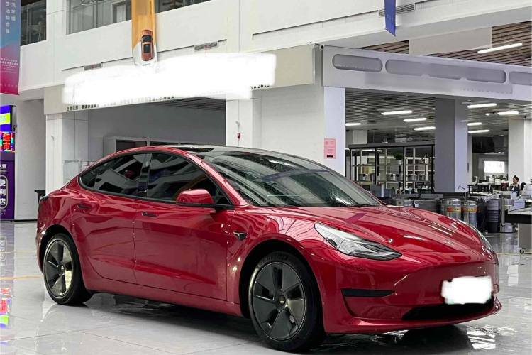 TESLA MODEL 3 2021