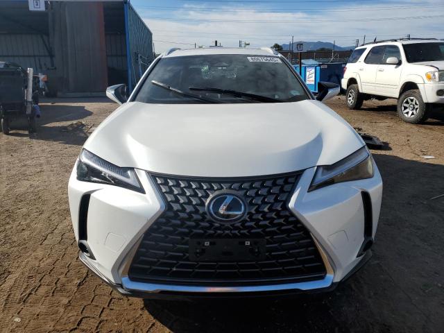 LEXUS UX 300H BASE 2025