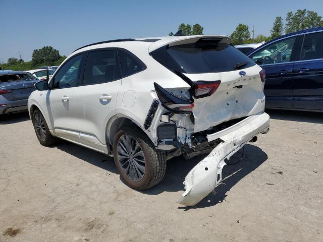 FORD ESCAPE ST LINE ELITE 2023