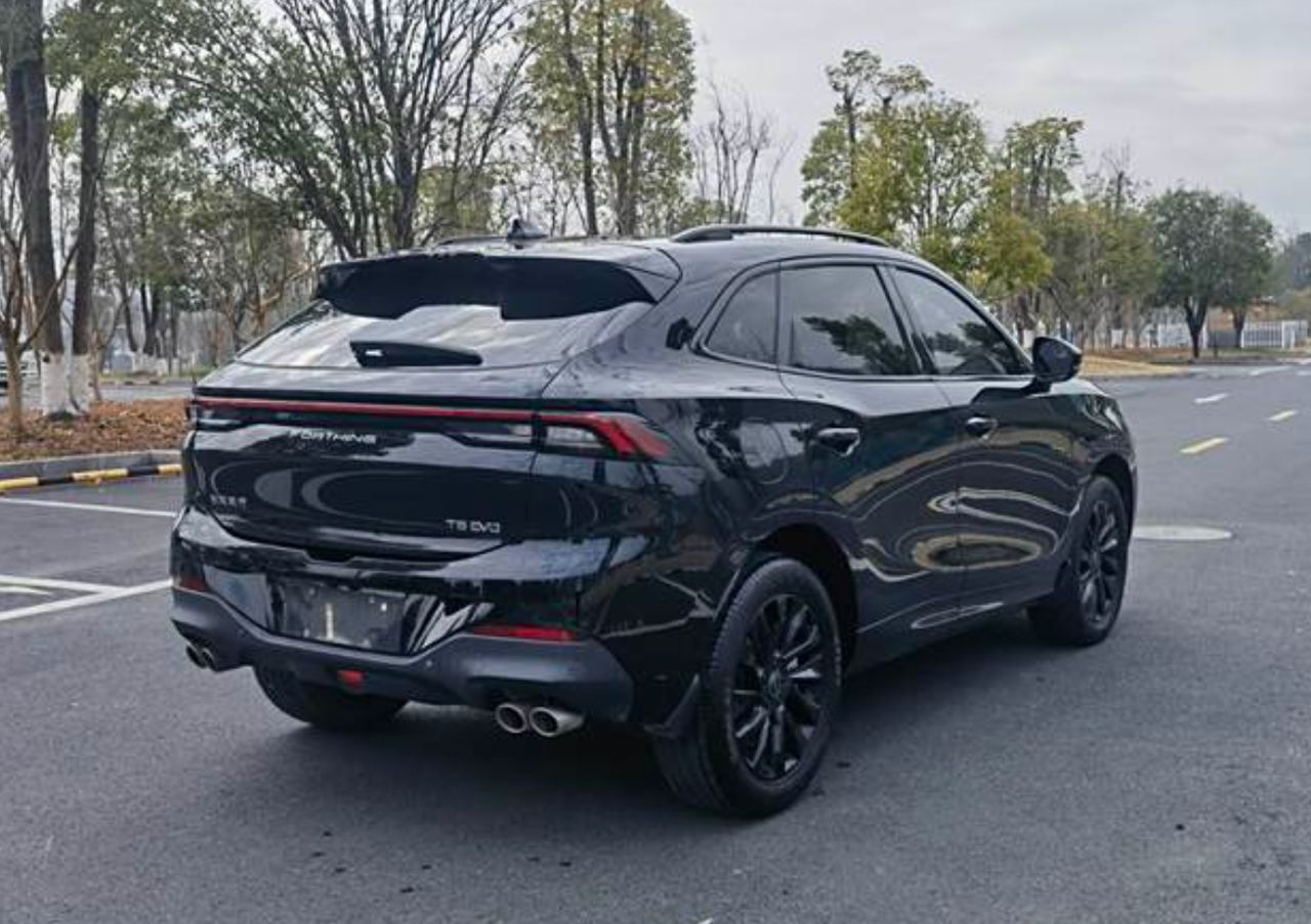 Fengxing T5 EVO 2021