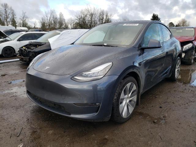 TESLA MODEL Y 2021