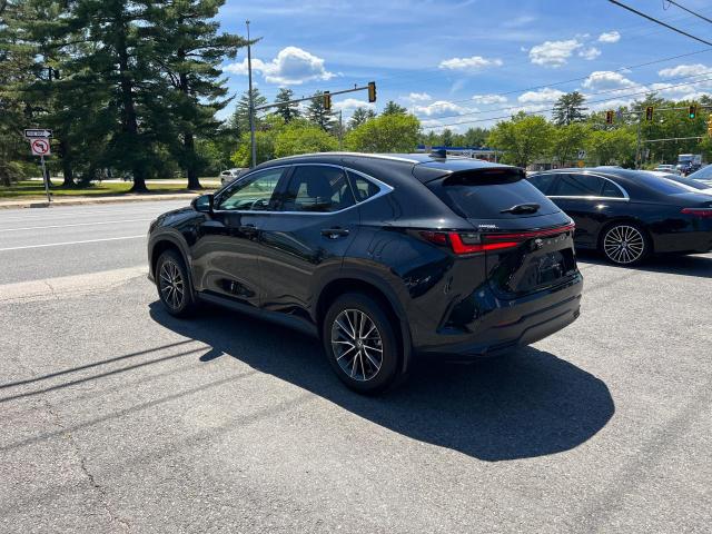 LEXUS NX 250 2022